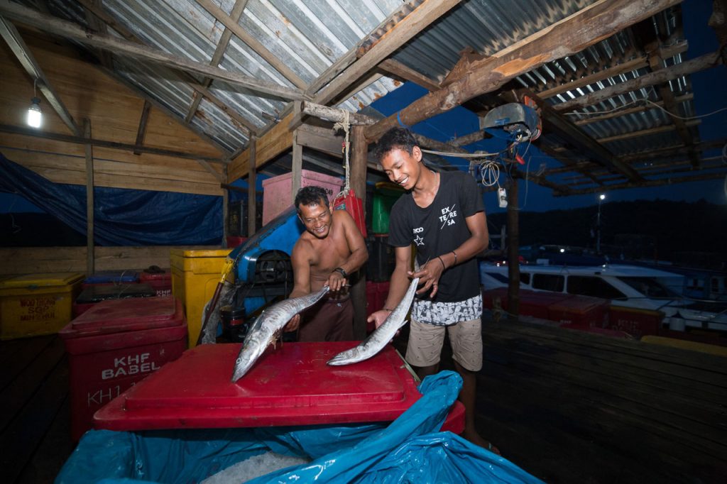 fish indonesia kalimantan photographer ionescu vlad